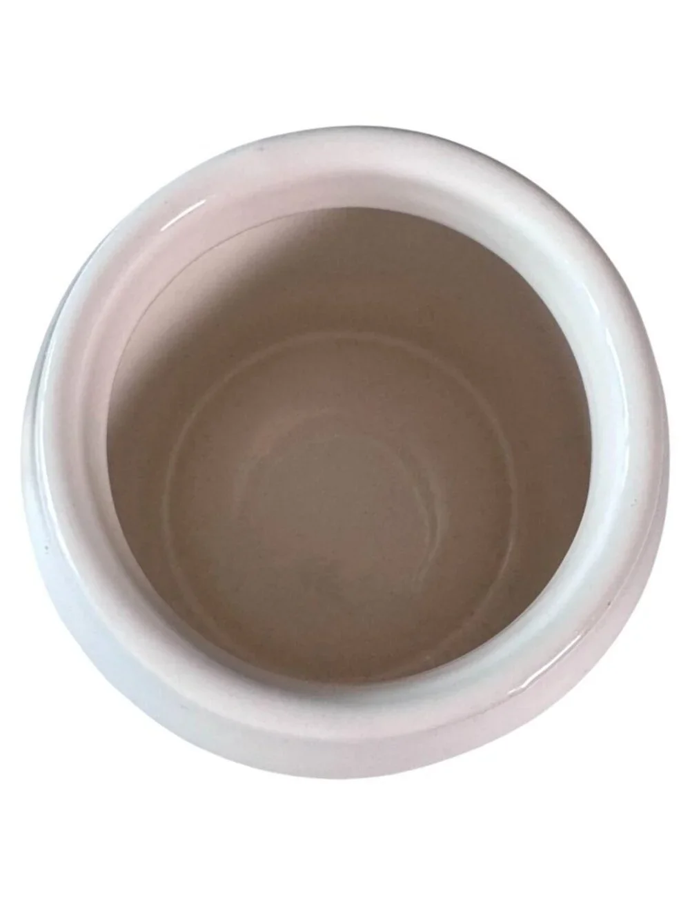 Rae Dunn Shamrocks Ceramic Jar With Lid Green Top White Body Artisan Collection
